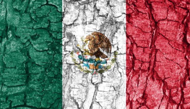Bandera de México simulando tierra árida